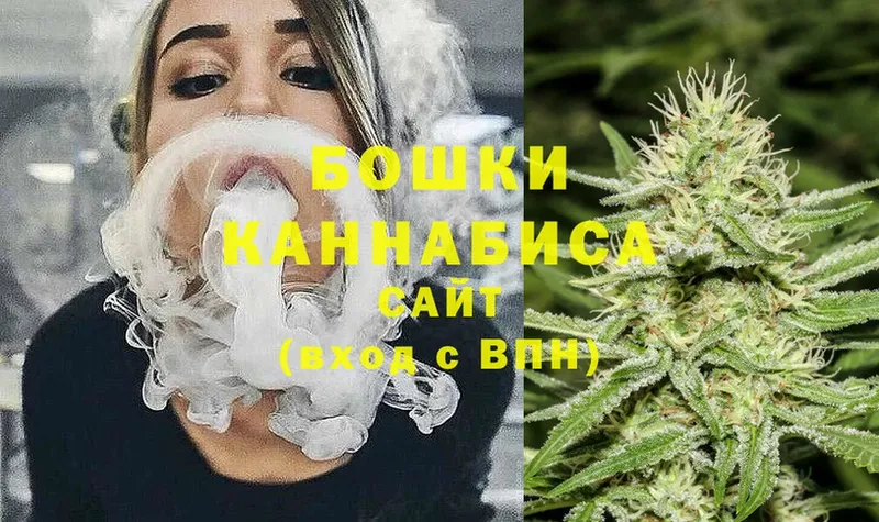 где купить наркотик  Фрязино  MEGA зеркало  Бошки Шишки Ganja 